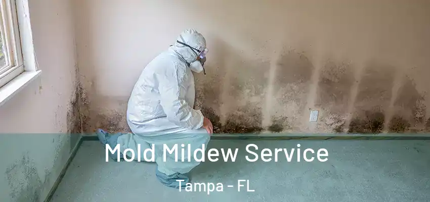 Mold Mildew Service Tampa - FL