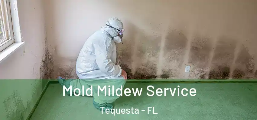 Mold Mildew Service Tequesta - FL