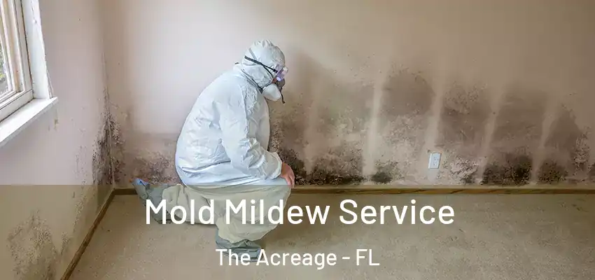 Mold Mildew Service The Acreage - FL