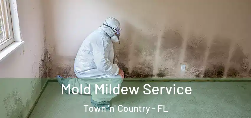  Mold Mildew Service Town 'n' Country - FL