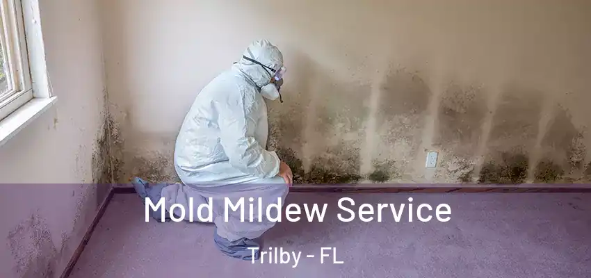  Mold Mildew Service Trilby - FL