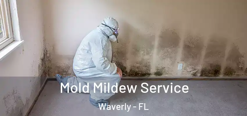 Mold Mildew Service Waverly - FL