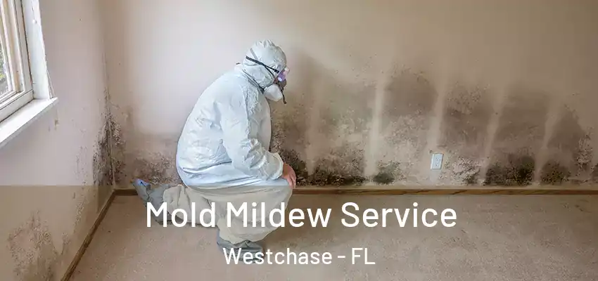 Mold Mildew Service Westchase - FL