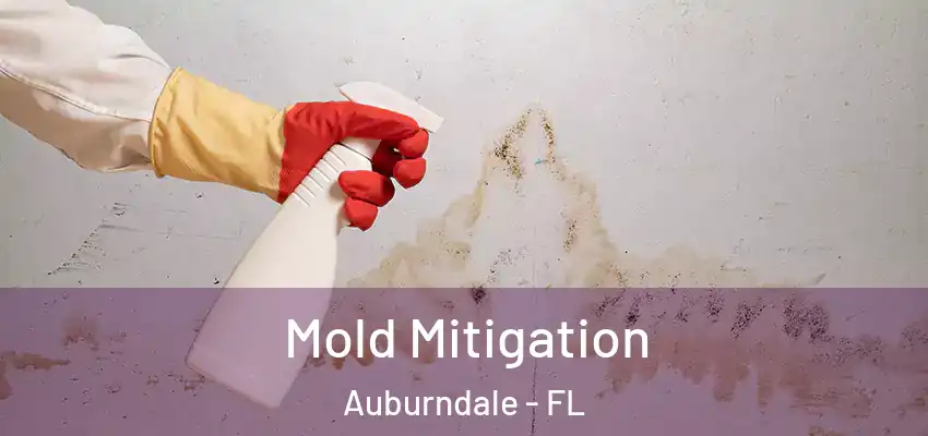  Mold Mitigation Auburndale - FL