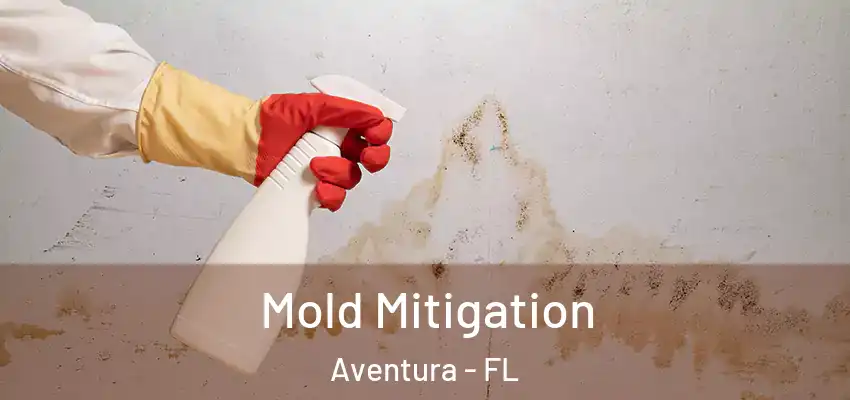  Mold Mitigation Aventura - FL