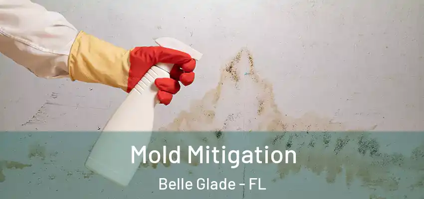  Mold Mitigation Belle Glade - FL