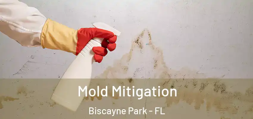  Mold Mitigation Biscayne Park - FL