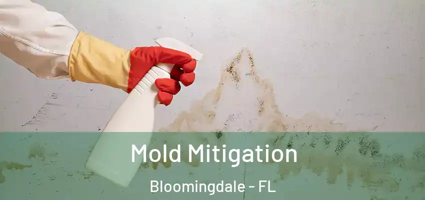 Mold Mitigation Bloomingdale - FL