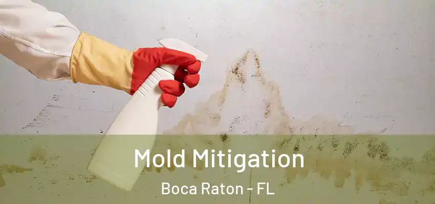  Mold Mitigation Boca Raton - FL