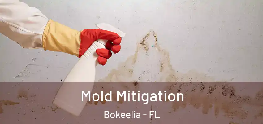 Mold Mitigation Bokeelia - FL