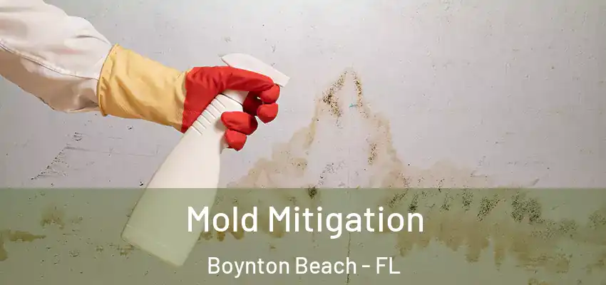  Mold Mitigation Boynton Beach - FL