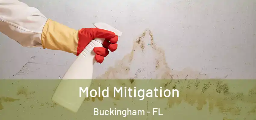 Mold Mitigation Buckingham - FL