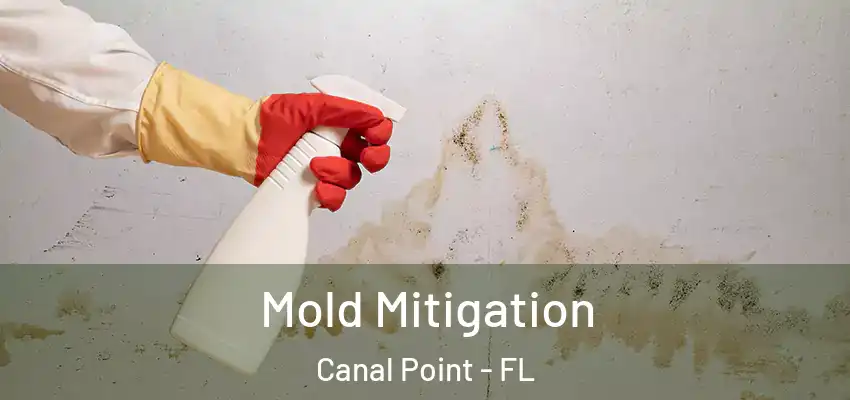  Mold Mitigation Canal Point - FL