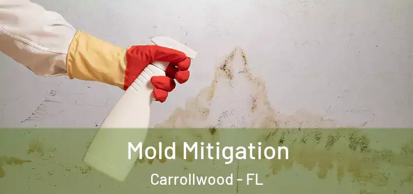  Mold Mitigation Carrollwood - FL