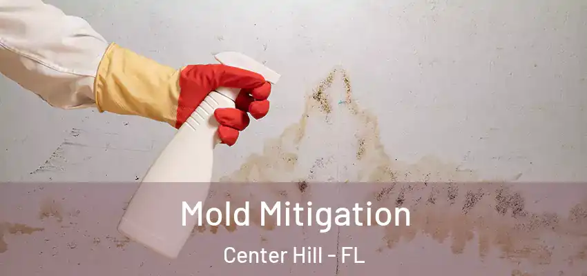  Mold Mitigation Center Hill - FL