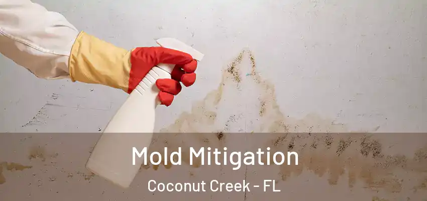  Mold Mitigation Coconut Creek - FL