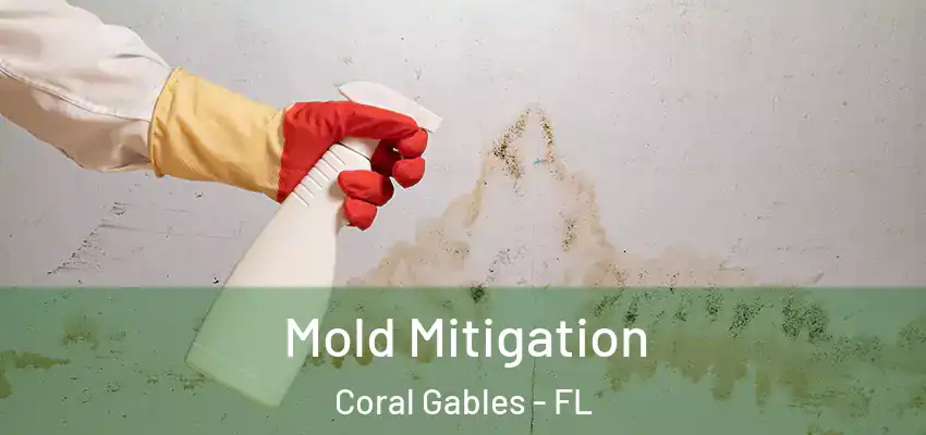  Mold Mitigation Coral Gables - FL