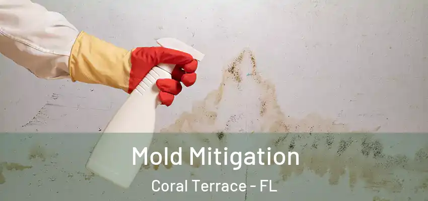  Mold Mitigation Coral Terrace - FL