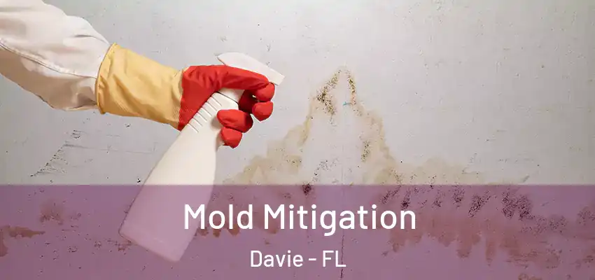 Mold Mitigation Davie - FL