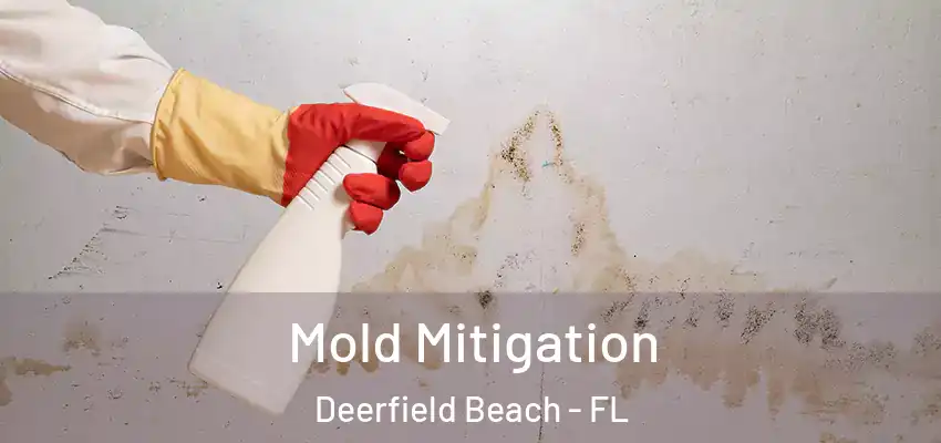  Mold Mitigation Deerfield Beach - FL