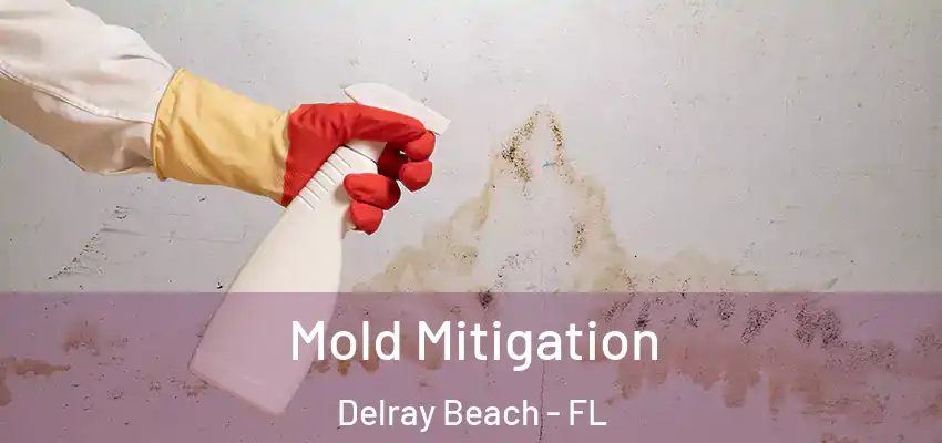  Mold Mitigation Delray Beach - FL