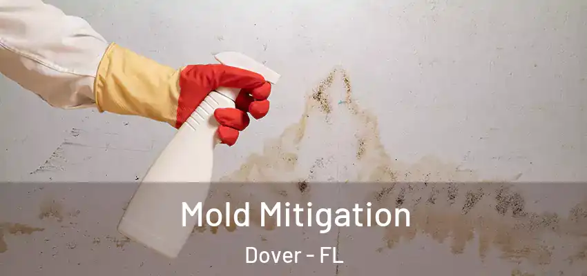 Mold Mitigation Dover - FL
