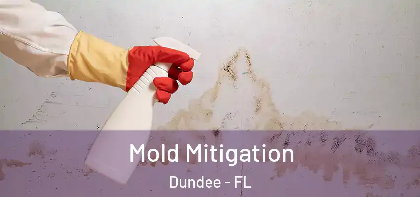 Mold Mitigation Dundee - FL