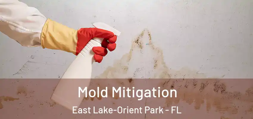  Mold Mitigation East Lake-Orient Park - FL