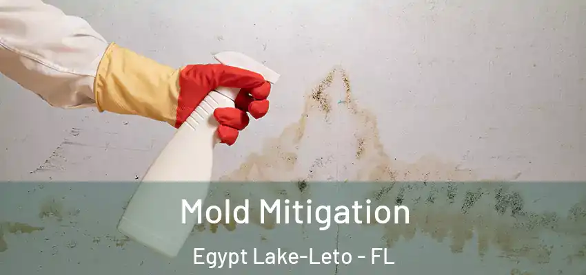 Mold Mitigation Egypt Lake-Leto - FL