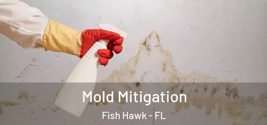 Mold Mitigation Fish Hawk - FL