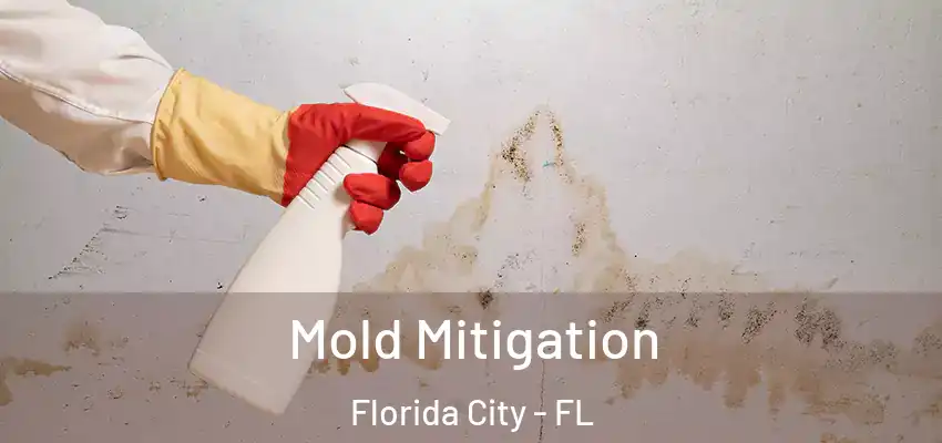 Mold Mitigation Florida City - FL