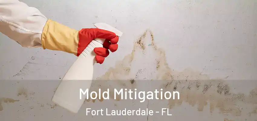  Mold Mitigation Fort Lauderdale - FL
