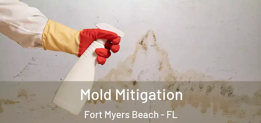  Mold Mitigation Fort Myers Beach - FL