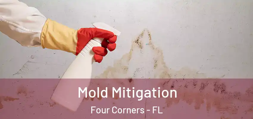 Mold Mitigation Four Corners - FL