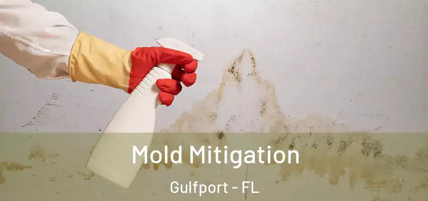 Mold Mitigation Gulfport - FL