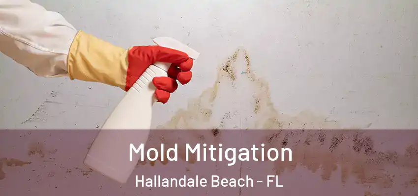 Mold Mitigation Hallandale Beach - FL