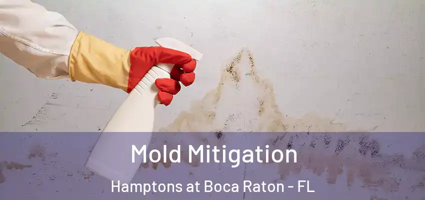  Mold Mitigation Hamptons at Boca Raton - FL