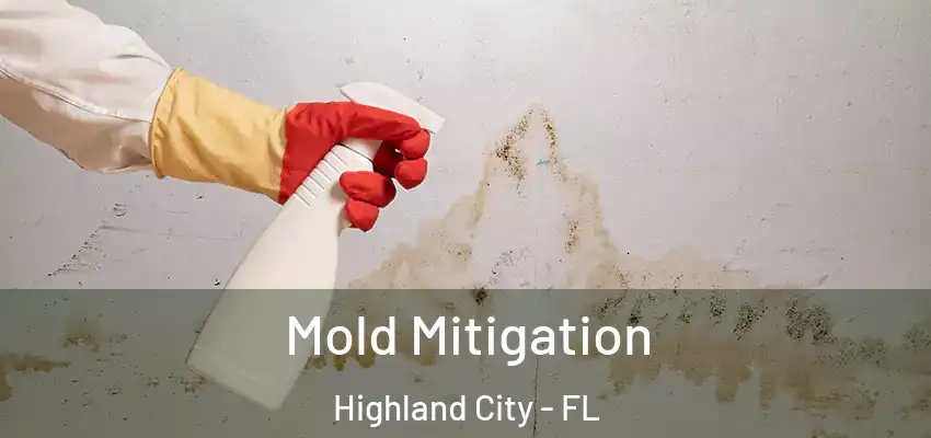 Mold Mitigation Highland City - FL