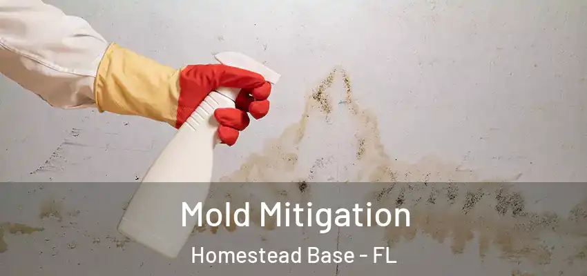Mold Mitigation Homestead Base - FL