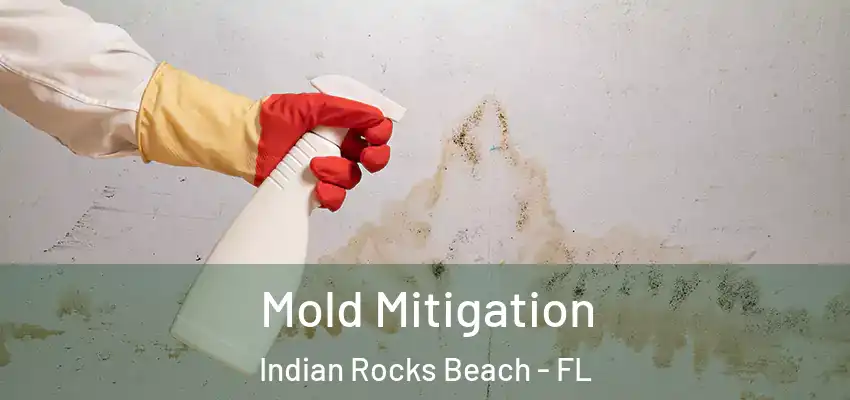 Mold Mitigation Indian Rocks Beach - FL