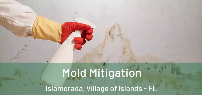 Mold Mitigation Islamorada, Village of Islands - FL