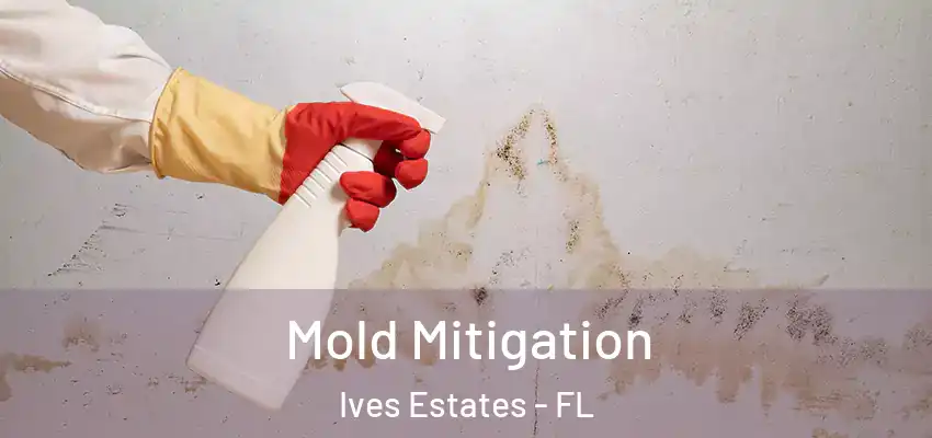Mold Mitigation Ives Estates - FL