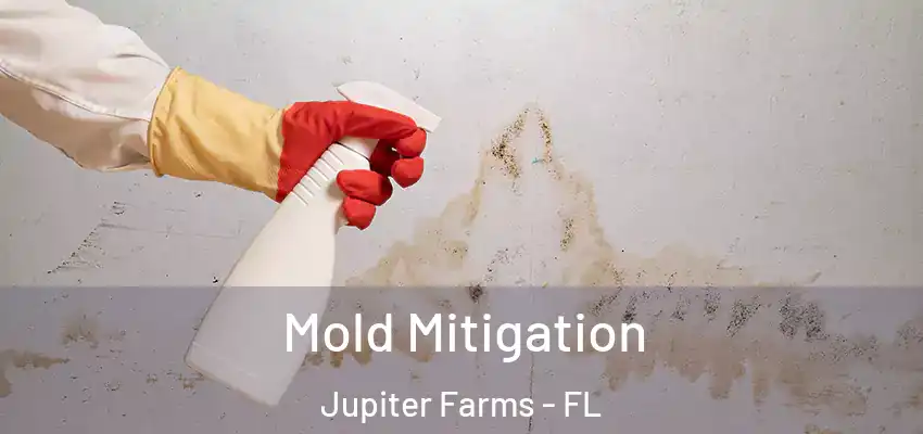 Mold Mitigation Jupiter Farms - FL