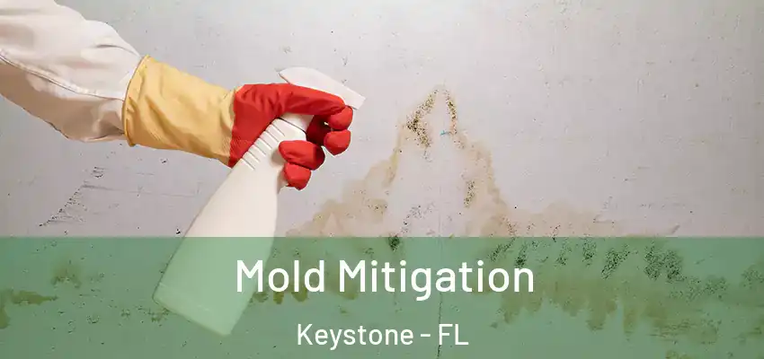 Mold Mitigation Keystone - FL