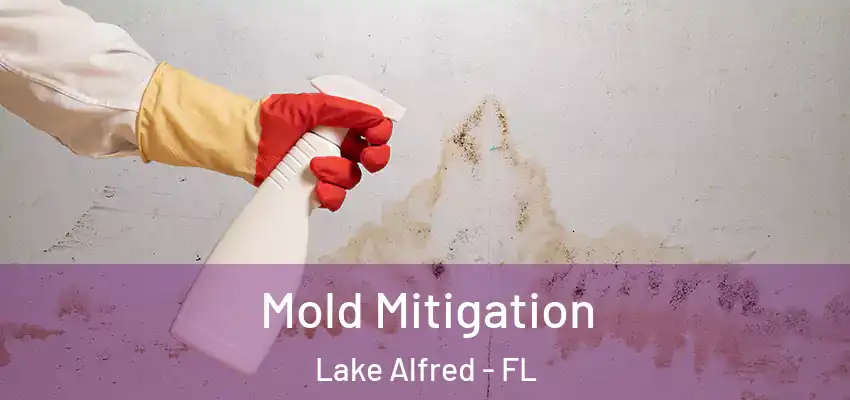 Mold Mitigation Lake Alfred - FL
