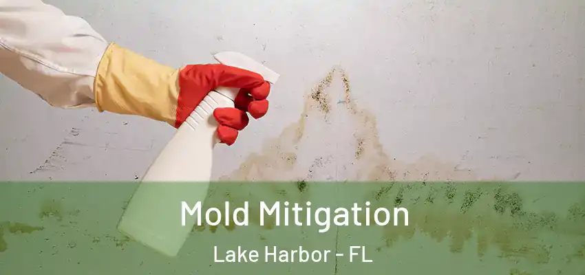  Mold Mitigation Lake Harbor - FL