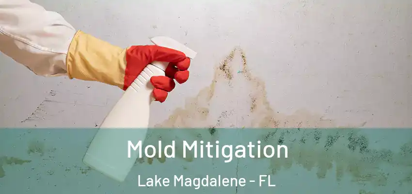 Mold Mitigation Lake Magdalene - FL