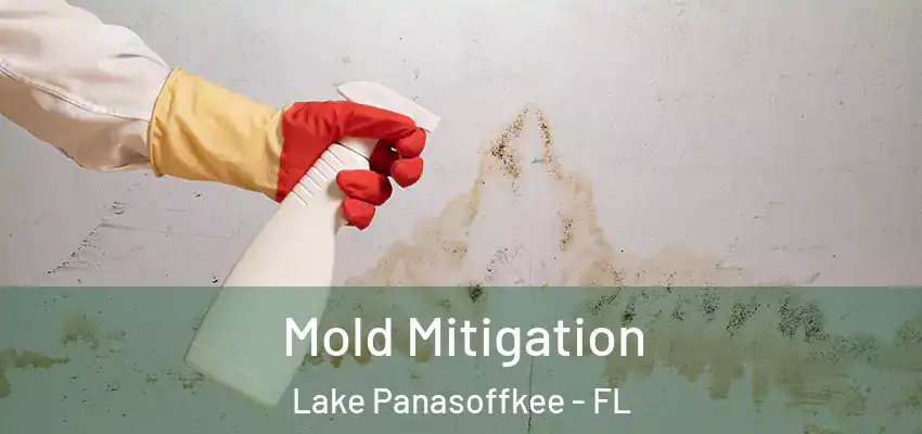  Mold Mitigation Lake Panasoffkee - FL