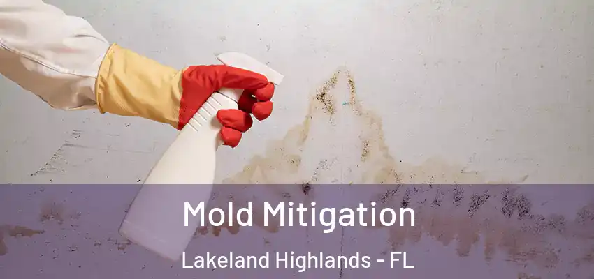 Mold Mitigation Lakeland Highlands - FL
