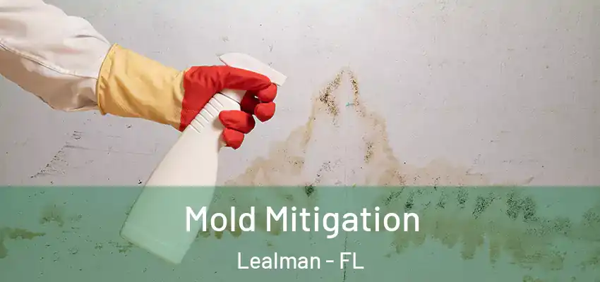 Mold Mitigation Lealman - FL